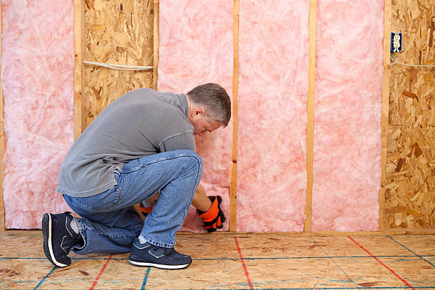 Best Specialty Insulation in Leonard, TX