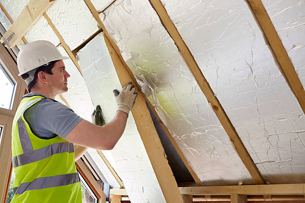 Best Insulation Installation Services in Leonard, TX