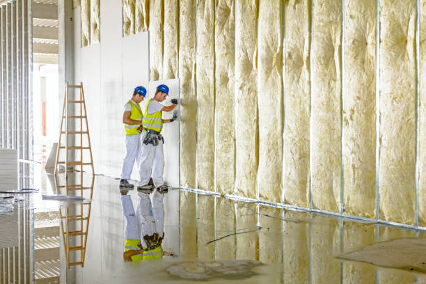 Best Specialty Insulation in Leonard, TX